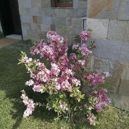 Lejlighed Sea Garden *
