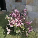 Apartamento Studio Sea Garden *