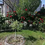 Studio Sea Garden Apartment *