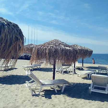 Apartment триумф вилидж влас